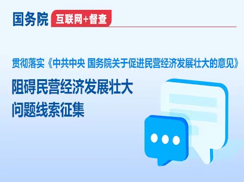 贯彻落实《中共中央 国务院关于促进民营经济发展壮大的意见》